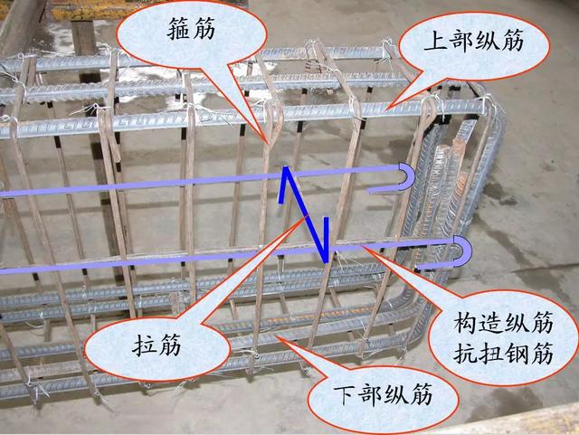 根據(jù)在結(jié)構(gòu)中的作用，鋼筋有哪些分類？