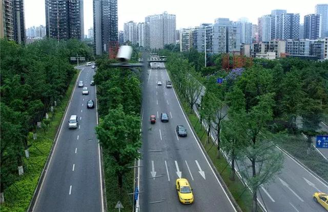 【道路建模】道路綠化帶設(shè)計(jì)