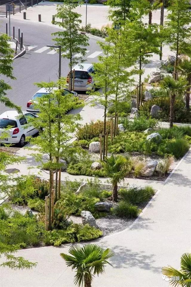 【道路建?！康缆肪G化帶設(shè)計(jì)