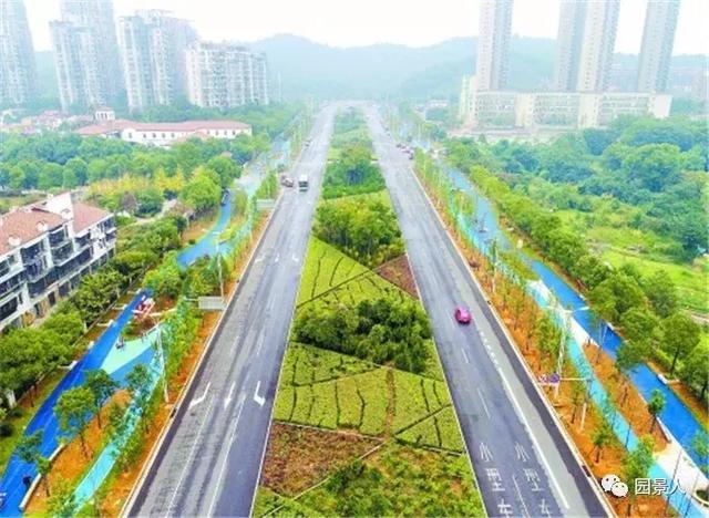 【道路建?！康缆肪G化帶設(shè)計(jì)